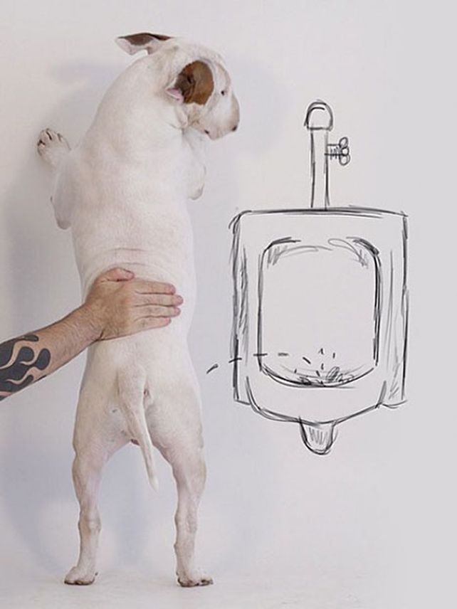 Su esposa lo dejó, pero creó un mundo con su perro