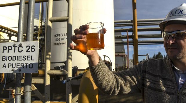 Empresarios proponen incrementar porcentaje de biodiésel para resolver la falta de gasoil