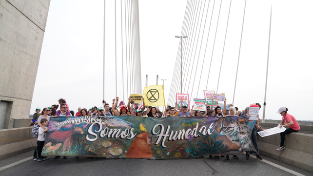 Si no sale el dictamen del proyecto de ley de humedales consensuado entre activistas y científicos