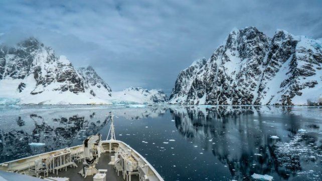 Contar pingüinos en la Antártida: ofrecen hasta 2.500 euros, contrato por 6 meses y jornadas de 9 horas