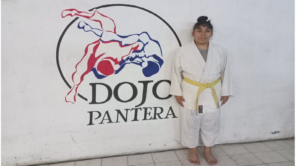 The Power of Collective Structure in National and International Judo The Power of Collective Structure in National and International Judo