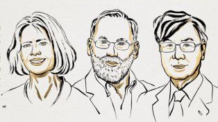 El premio Nobel de Medicina 2025 fue otorgado a Mary E. Brunkow, Fred Ramsdell y Shimon Sakaguchi