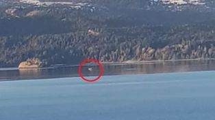 Reaparició Nahuelito: graban una misteriosa silueta en el lago Nahuel Huapi
