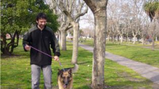 Para tener en cuenta: se conquista m&aacute;s con un labrador que con un caniche