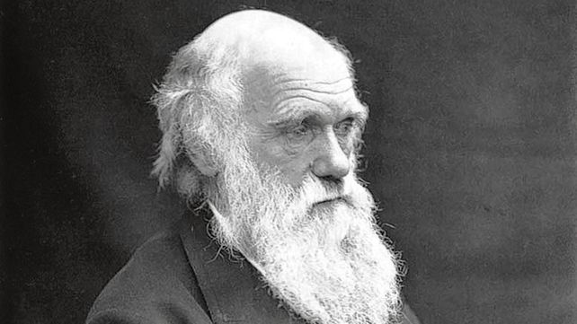 Darwin. El naturalista británico recorrió unos 4 mil kilómetros.
