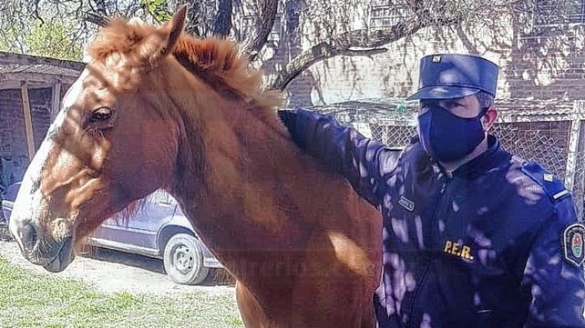 Ataque a la Policía: recuperaron la yegua que fue robada