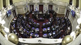 La senadora Tagliaferri pidió a las autoridades del Senado que rectifique el acta de la votación de tres pliegos judiciales&nbsp;