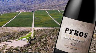 Eligieron el mejor vino de Argentina: ¿cuál es y cuánto cuesta una botella?
