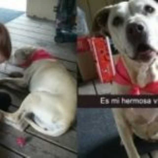La abrazó hasta el final: la conmovedora historia detrás de la foto que recorre las redes sociales