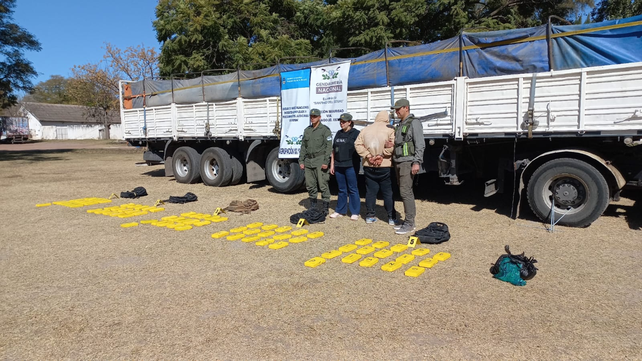 Efectivos de Gendarmería exhiben la cocaína que viajaba en un camión, escondida entre harina de soja, hacia Rosario. El hallazgo se produjo en ruta 34, en Santiago del Estero.