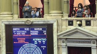 Diputados convirtió en ley el registro de datos genéticos de violadores