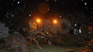 Renovaron el alerta por tormentas para el norte del territorio provincial