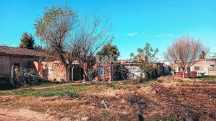Construcciones clandestina en el Parque Federal