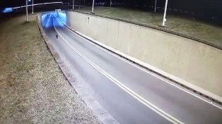 Un carpincho obligó a cortar el tránsito del túnel subfluvial que une Paraná y Santa Fe este miércoles alrededor de las 5 de la mañana, del lado santafesino del viaducto.