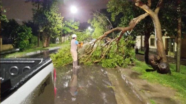 Paraná: autos varados, árboles caídos y anegamientos por el temporal