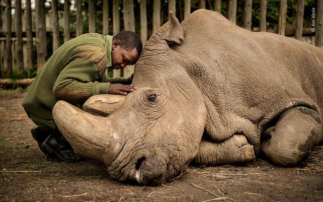 Vida silvestre 2020, lo mejor en imágenes