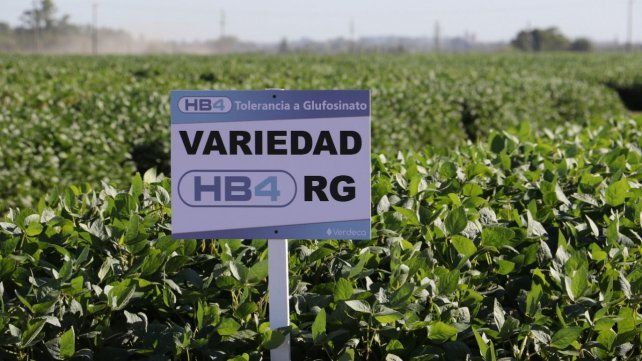 La variedad tuvo su prueba de fuego en esta crítica campaña.