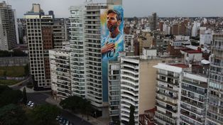 Mural de Lionel Messi y el pedido por la Ley de Humedales