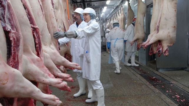 Nuevo horizonte. Las exportaciones de cerdo al mercado chino abren una oportunidad para el país