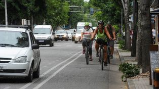 Piden revisar la red de bicisendas y los carriles exclusivos para colectivos en Rosario