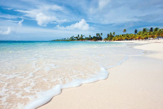 La Isla Saona, un encuentro con la fauna caribeña.