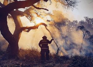 En un solo día los bomberos intervinieron en 21 incendios