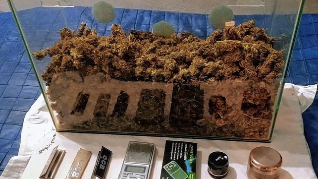 Detenido por tener casi un kilo de droga en una pecera