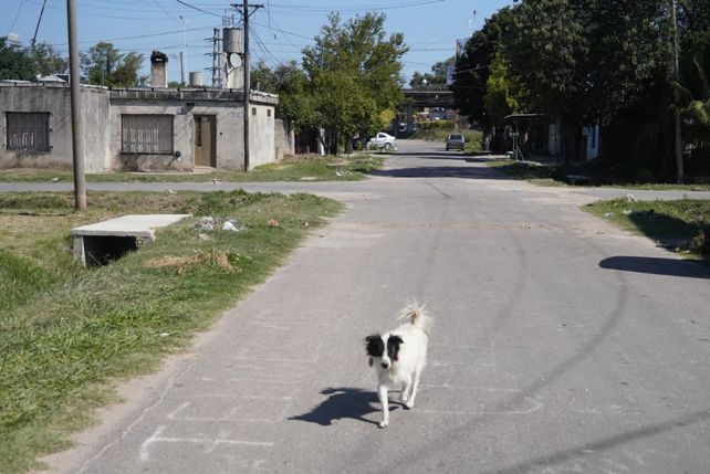 Crimen en zona sur: un joven fue asesinado a balazos desde un auto