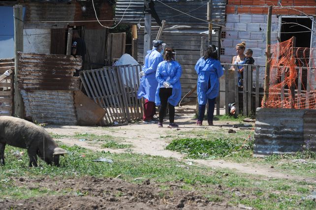 Es clave entender que la salud  humana y animal van unidas