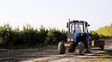 El agro argentino inicia agosto con señales de recuperación, pero persisten costos, clima y dudas