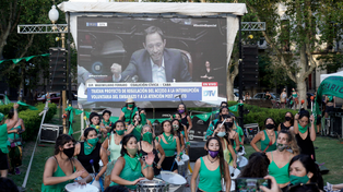La sanción del aborto legal, seguro y gratuito cumple este 30 de diciembre dos años.&nbsp;