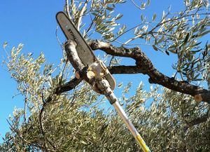 12 tramos de redes eléctricas recién reparadas fueron cortadas al podar árboles en Colastiné