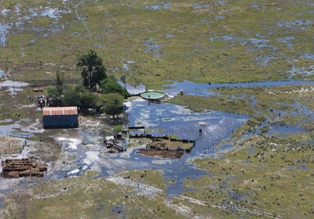Tambos. La industria láctea es una de las que más sintió el impacto del agua en la región litoral./ Gobierno de la Provincia.