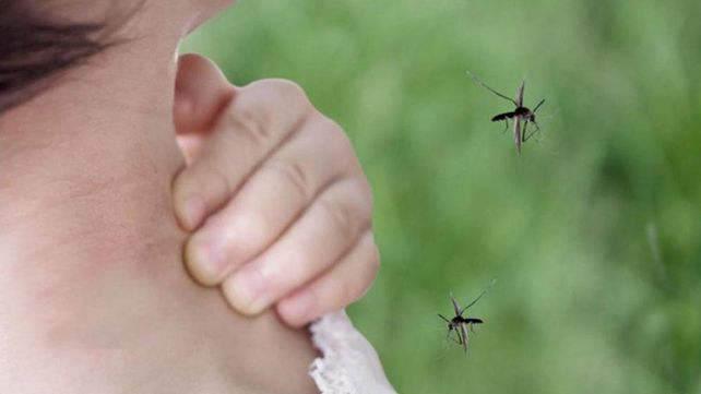 Más de 600 casos de dengue, una muerte y otras dos aún en estudio