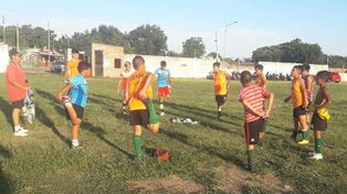 Robaron 40 pelotas y herramientas del club Loyola