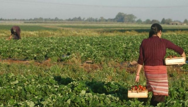 Sólo se registra el trabajo productivo del varón