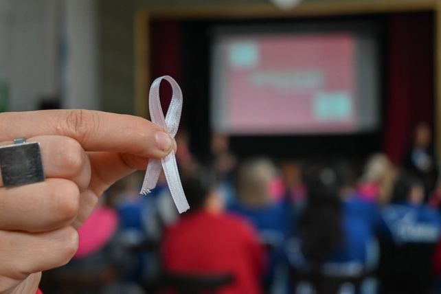 El cronograma prevé jornadas itinerantes de difusión y concientización a cargos de profesionales de la salud. Se abundará sobre la importancia del autoexamen y control anual y se programó una actividad artística colectiva.&nbsp;