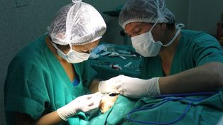 El hospital José María Cullen realizará trasplantes de córneas