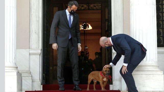 Tierno pichicho: el perro del primer ministro de Grecia interrumpió una conferencia