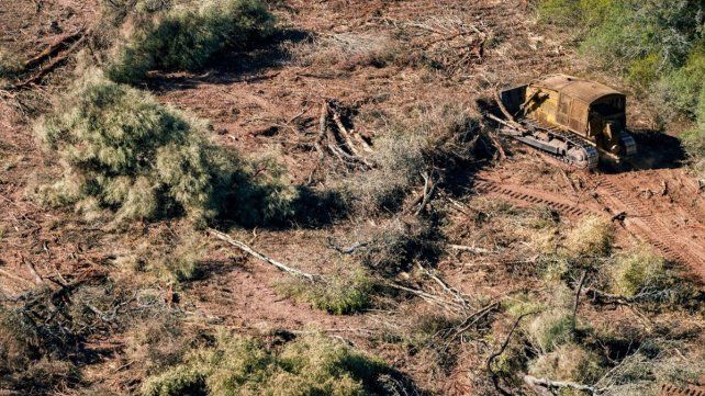 Organizaciones ambientales denunciarán ante la Justicia que la legislatura de Chaco aprobó