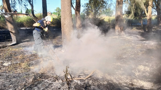 Bomberos apagan las llamas en el Bosque de los Constituyentes&nbsp;