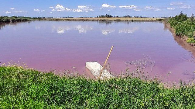 Arroyo Espinillo: analizan el agua y refuerzan la vigilancia