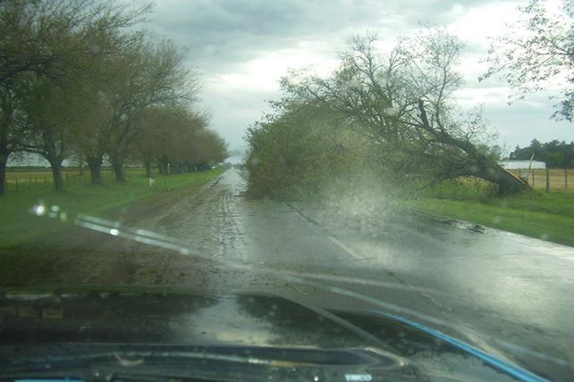 Humboldt: una cola de tornado cortó cables, voló techos y derribó árboles