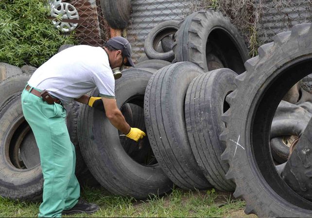 Dengue: ya suman 10 los casos en la ciudad y 81 en la provincia