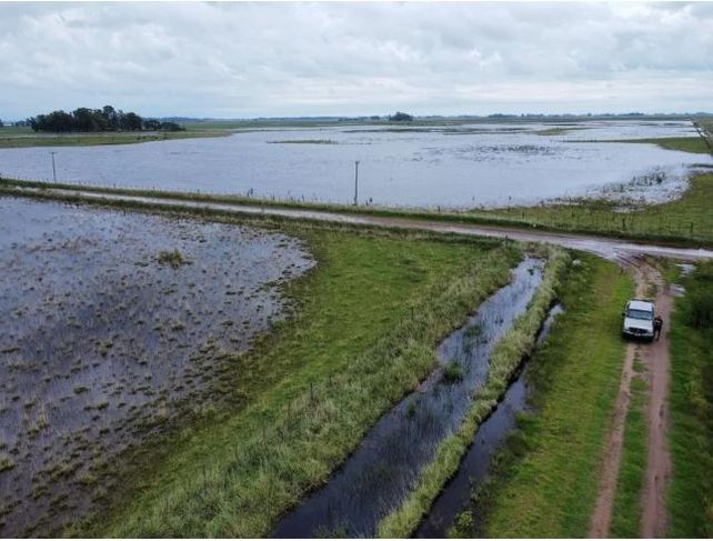 Declararon la emergencia agropecuaria en varios departamentos de Santa Fe por las inundaciones