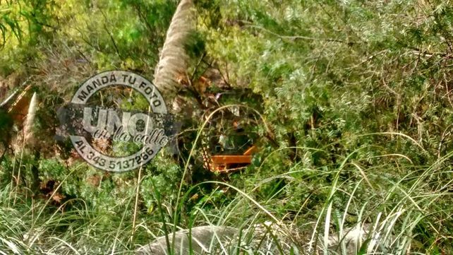 Generan inquietud trabajos de desmontes en la zona del Parque Nuevo