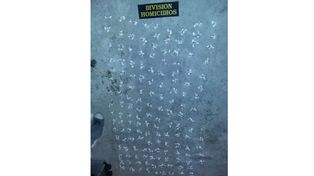 Dos causas. El arma sería la utilizada para golpear a Segovia; la droga será remitida al Juzgado Federal.