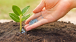 Nutrición fraccionada: sustentabilidad y rinde