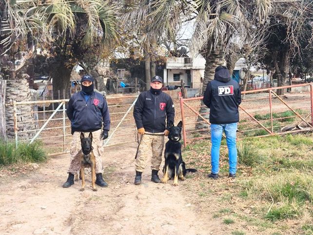 El cuerpo fue hallado por la División canes