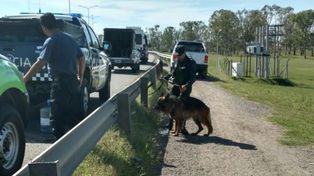 Un perro entrenado marcó el lugar donde estaba enterrado el cuerpo de Araceli